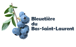 Bleuetière du Bas-Saint-Laurent