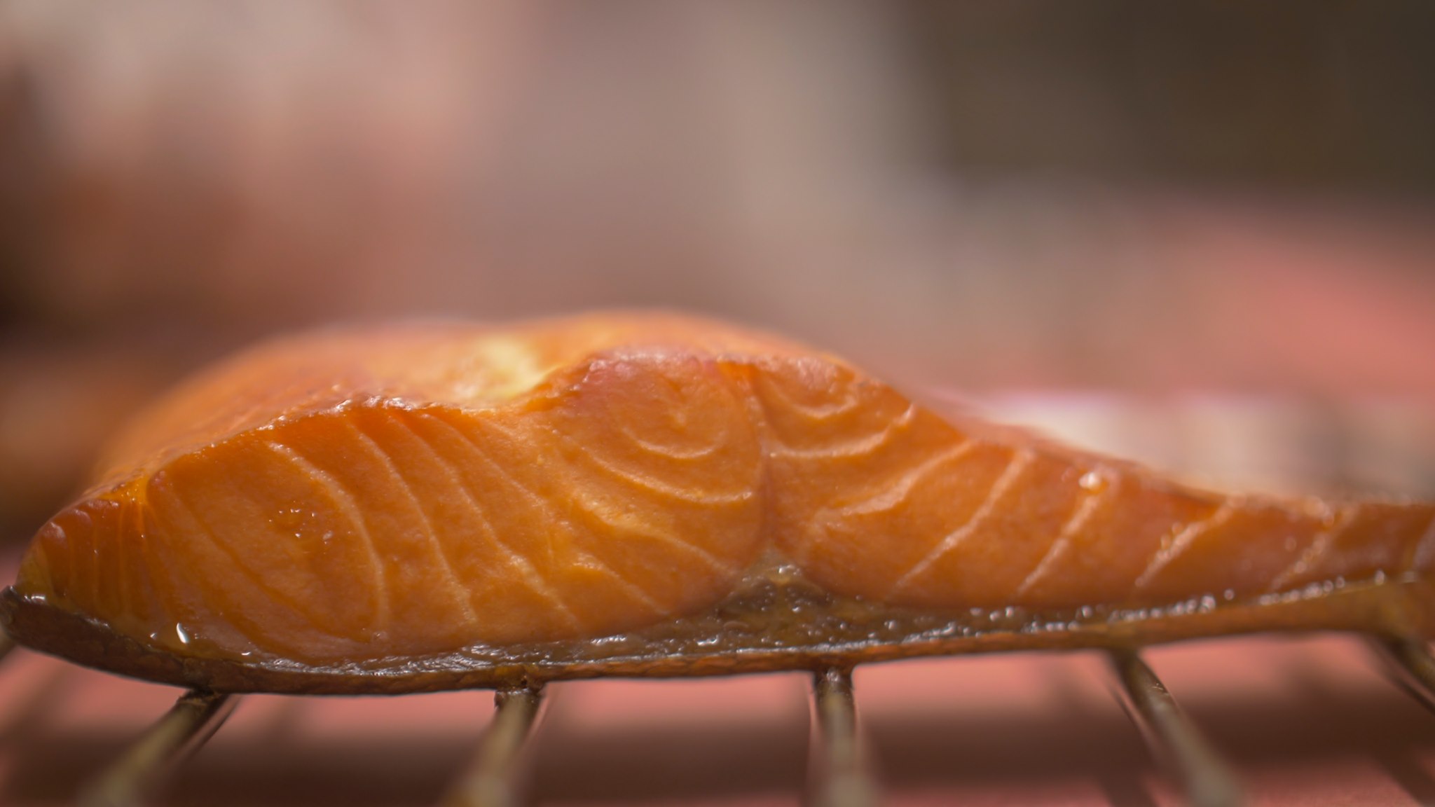 Filets de poisson