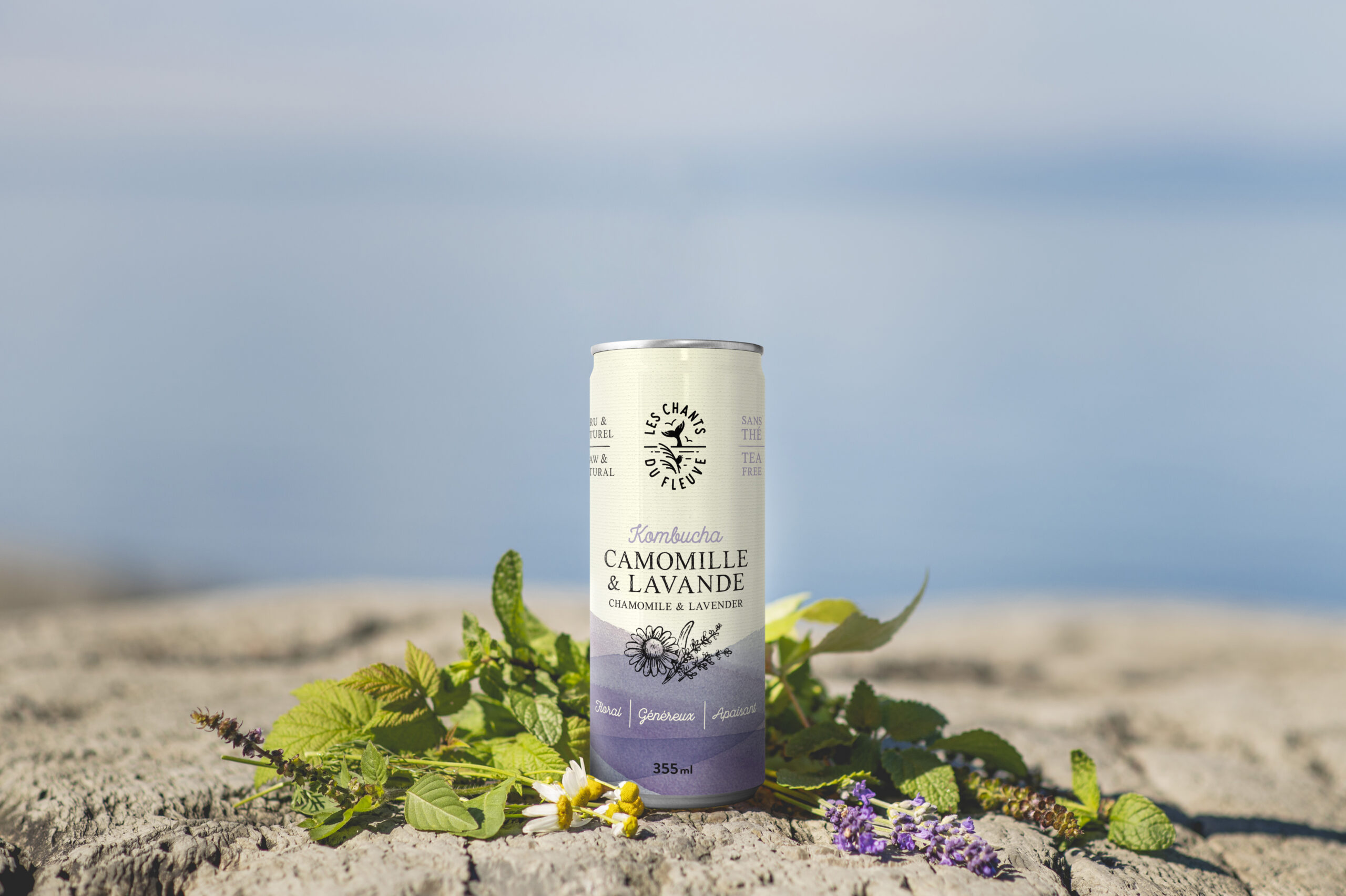 Kombucha camomille-lavande