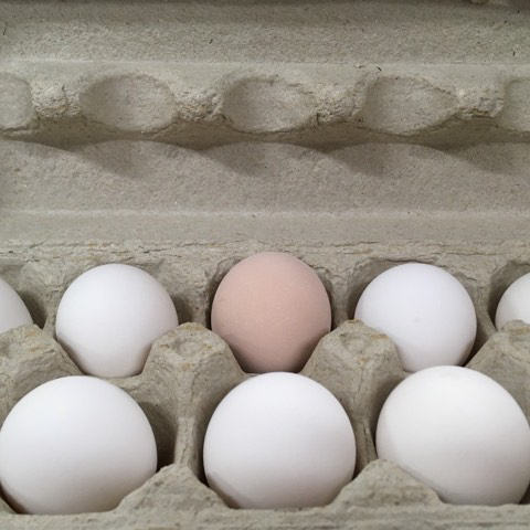 Oeufs