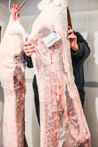 Découpes de Porc