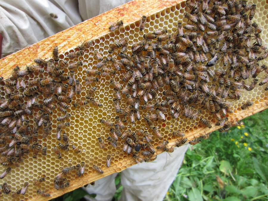 Hydromellerie du Vieux Moulin