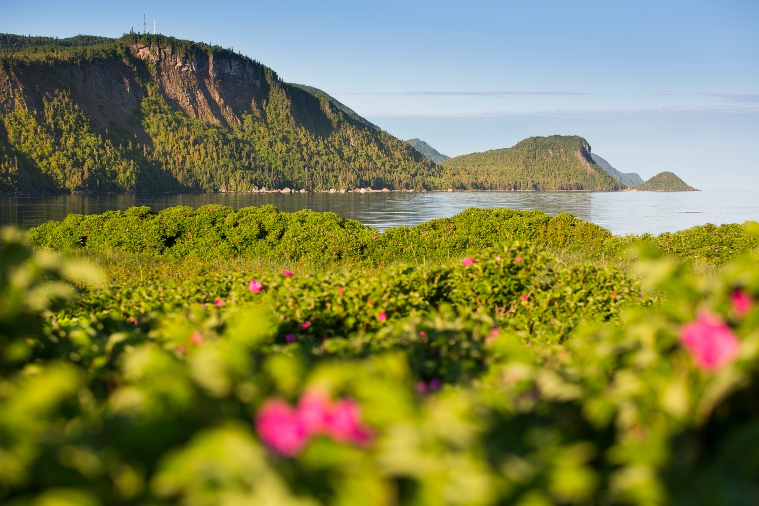 Parc national du Bic - Boutique Nature