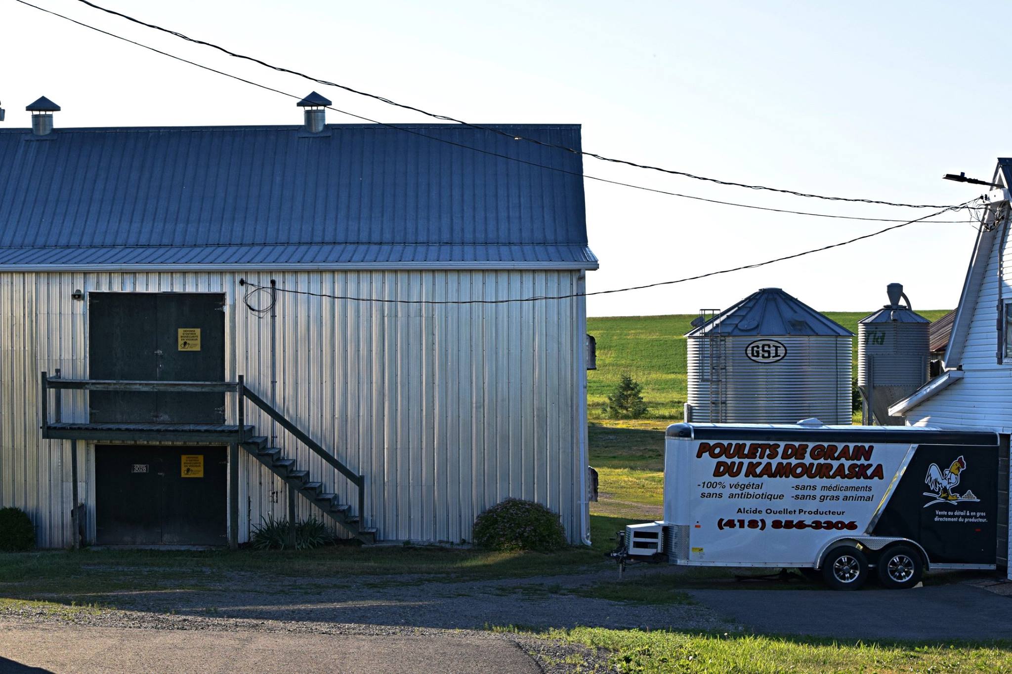 Les Poulets de grain du Kamouraska