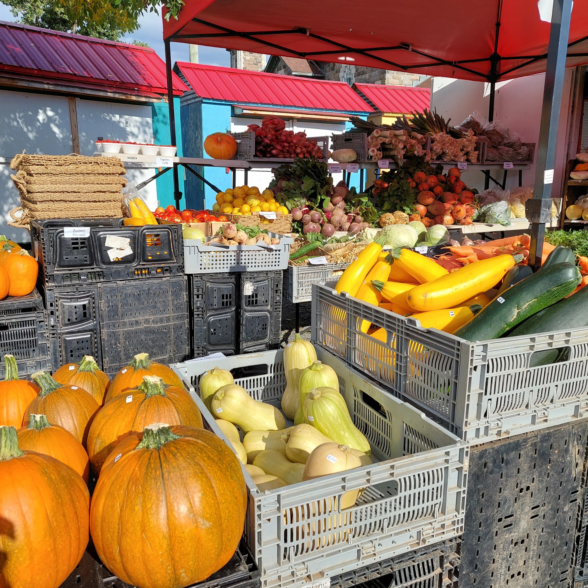 Marché public de La Mitis