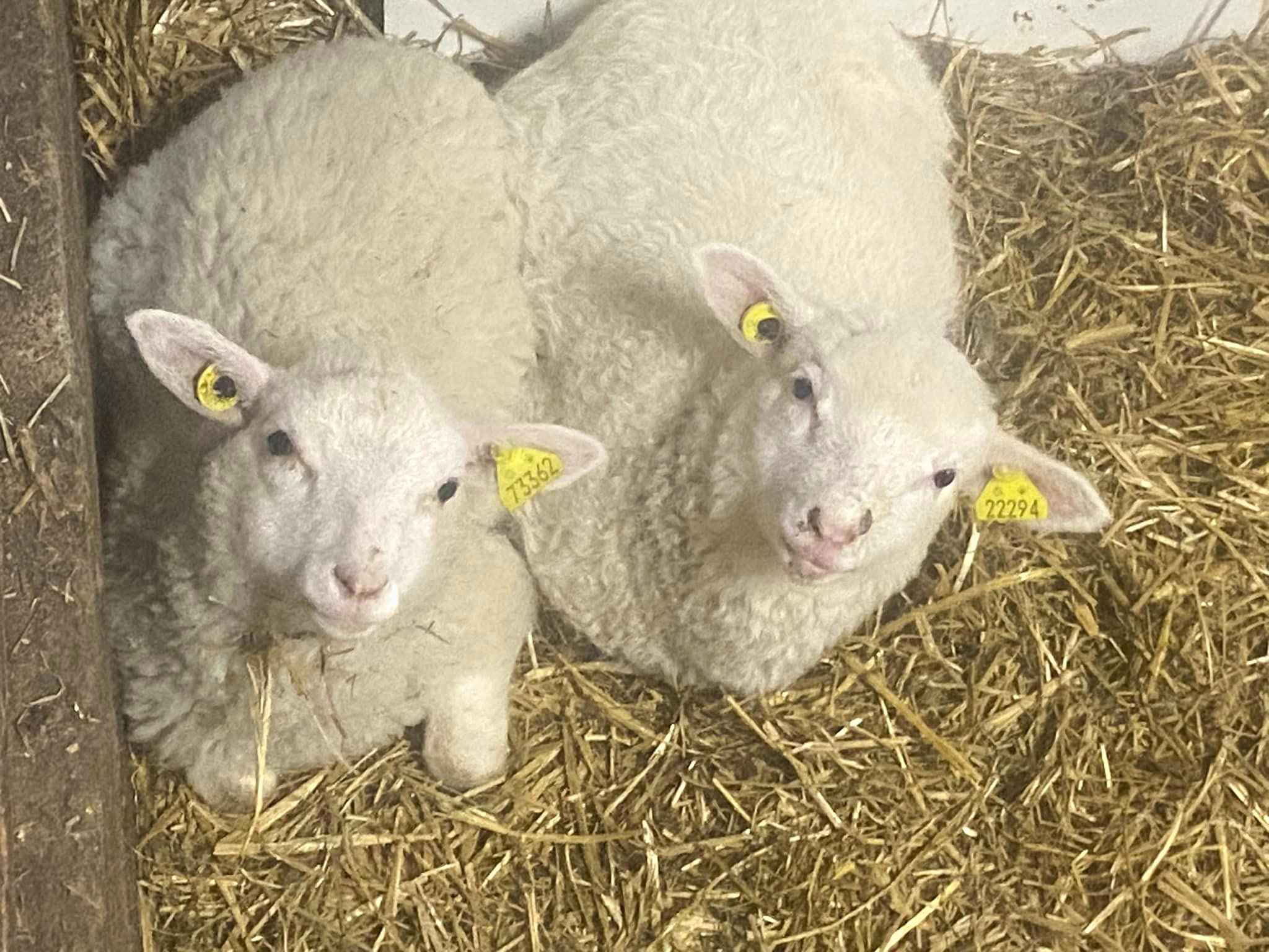 Ferme du fond d'orme