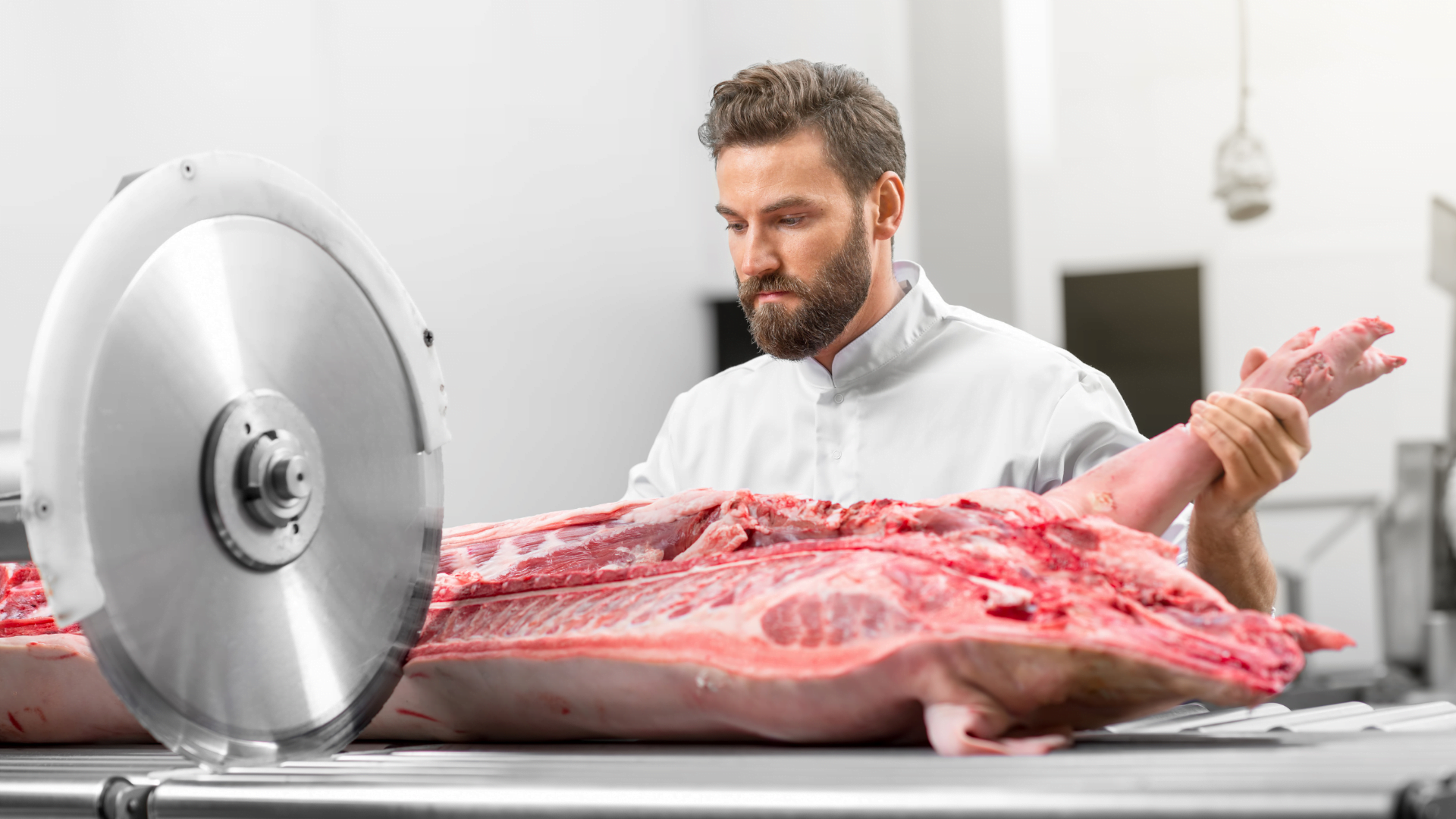 Porc