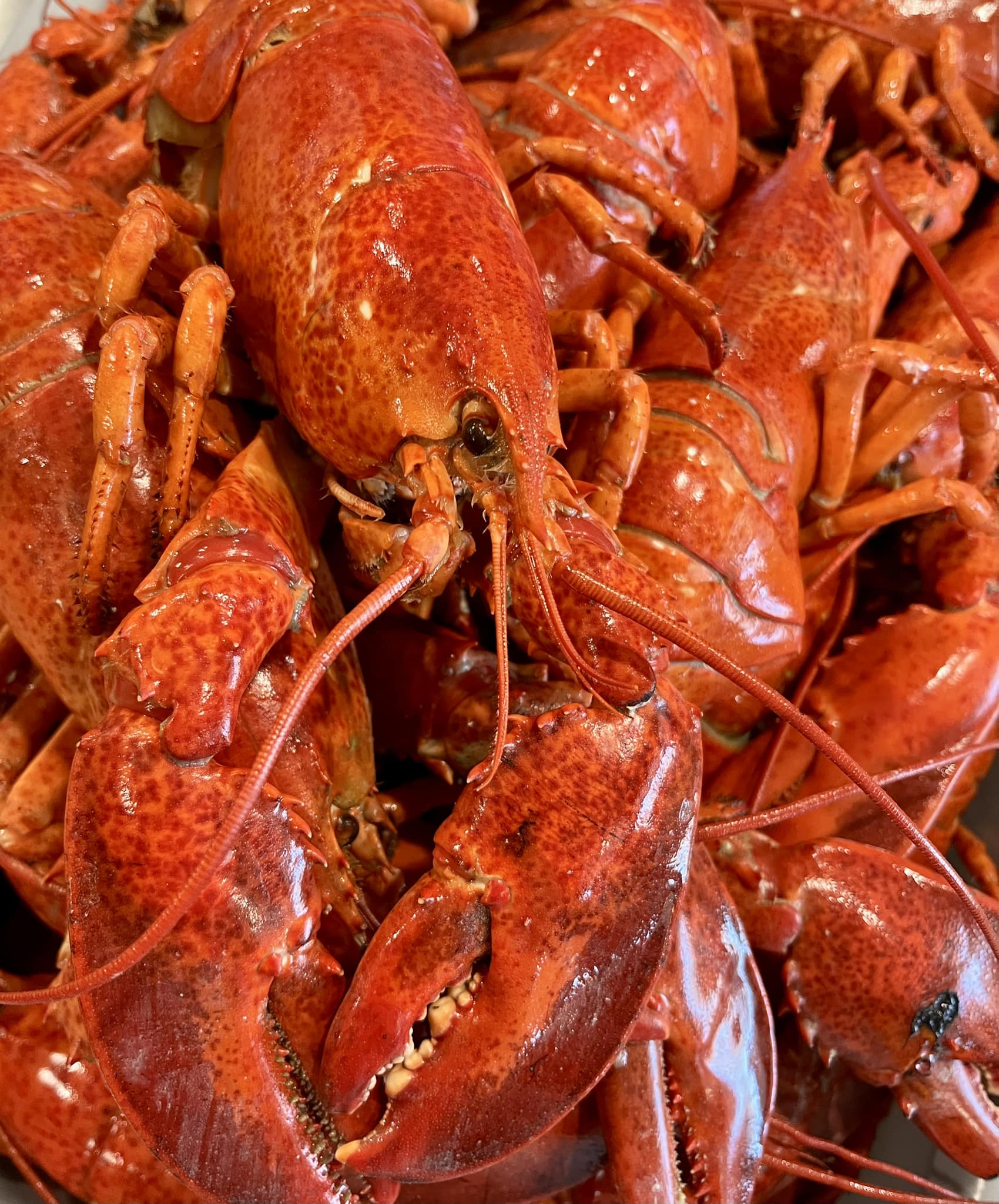Fruits de mer frais