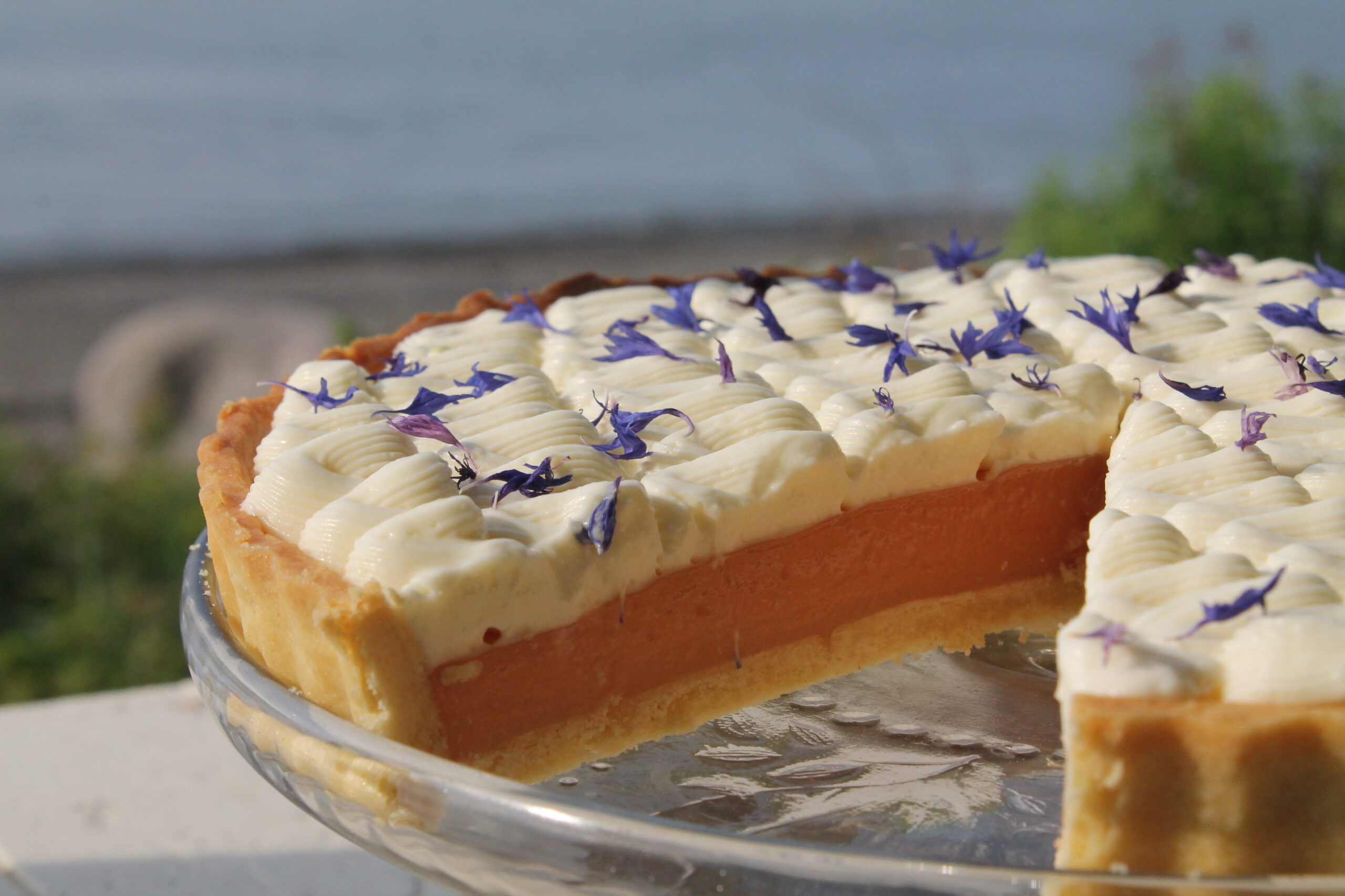 Tarte à la rhubarbe et ganache montée au miel