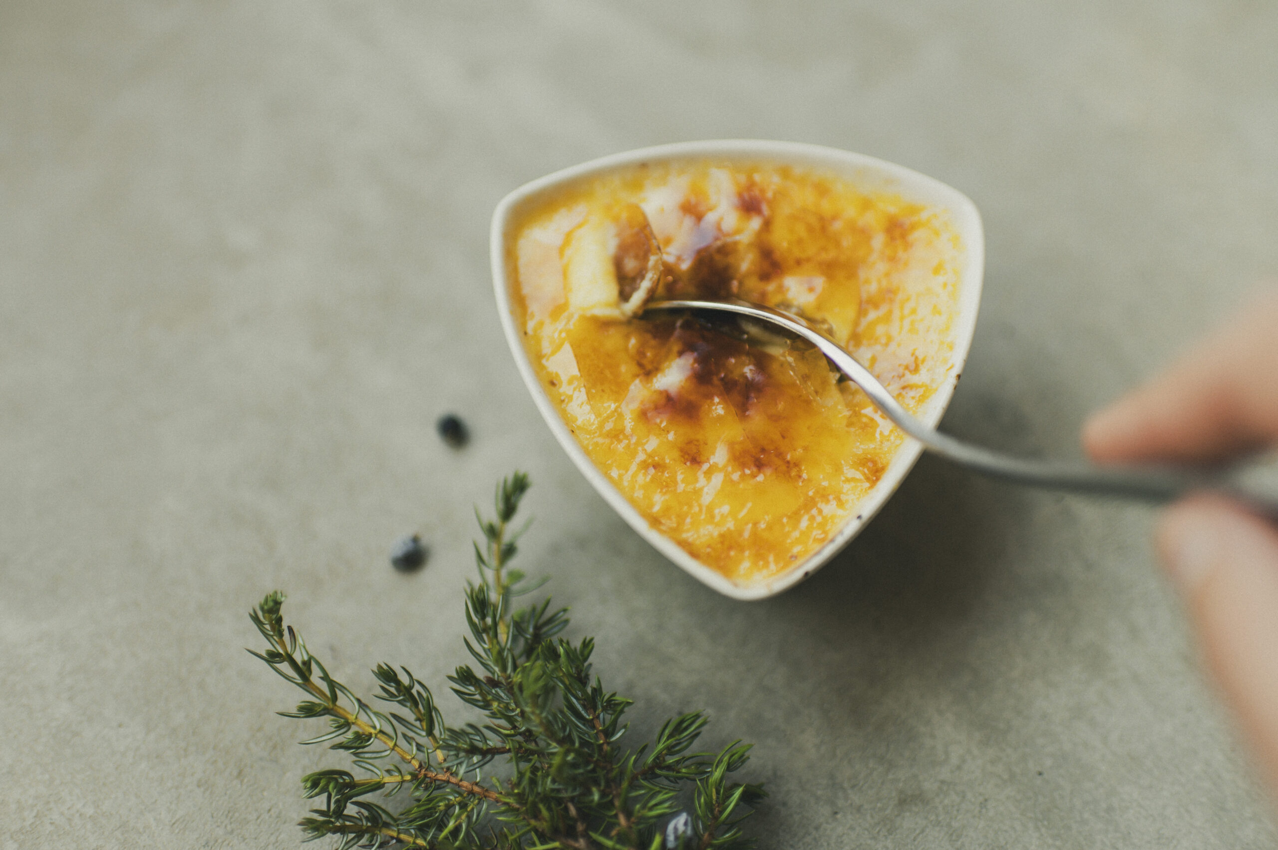 Crème brûlée au sapin genévrier