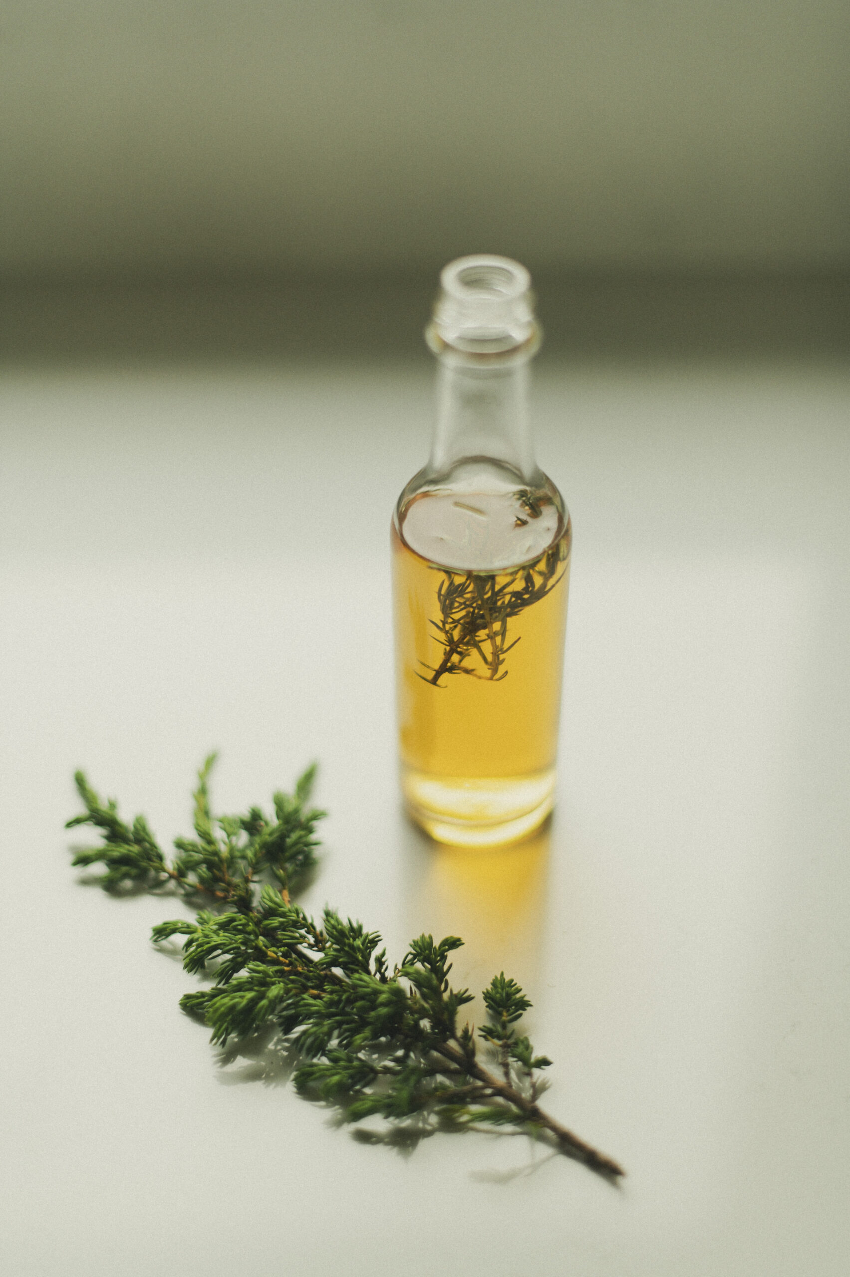 Vinaigre infusé aux branches de genévrier