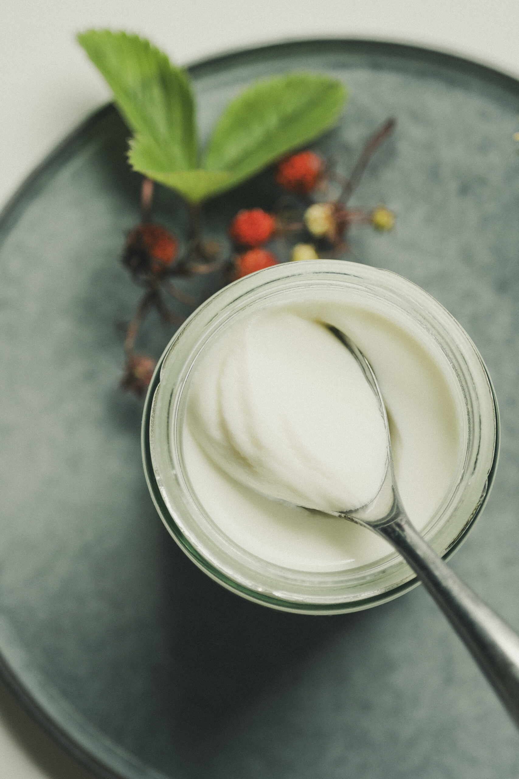 Yogourt aux épines de genévrier