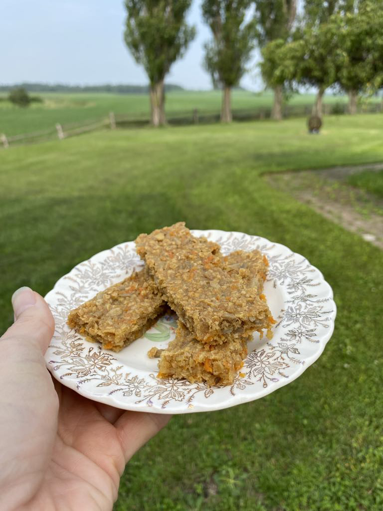 Barres tendres aux carottes et tournesol