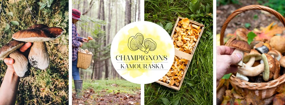 Champignons sauvages
