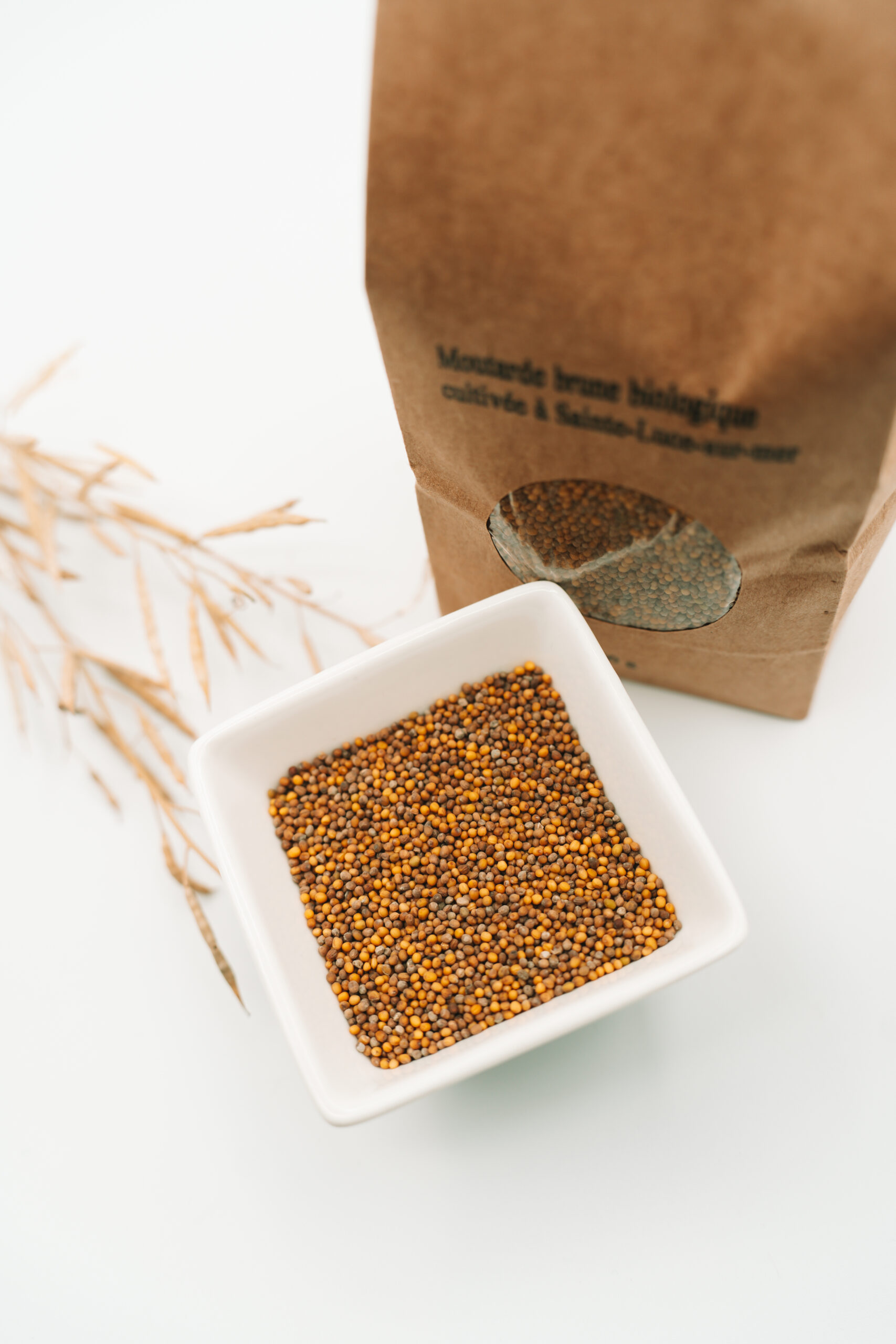 Graine de moutarde brune biologique