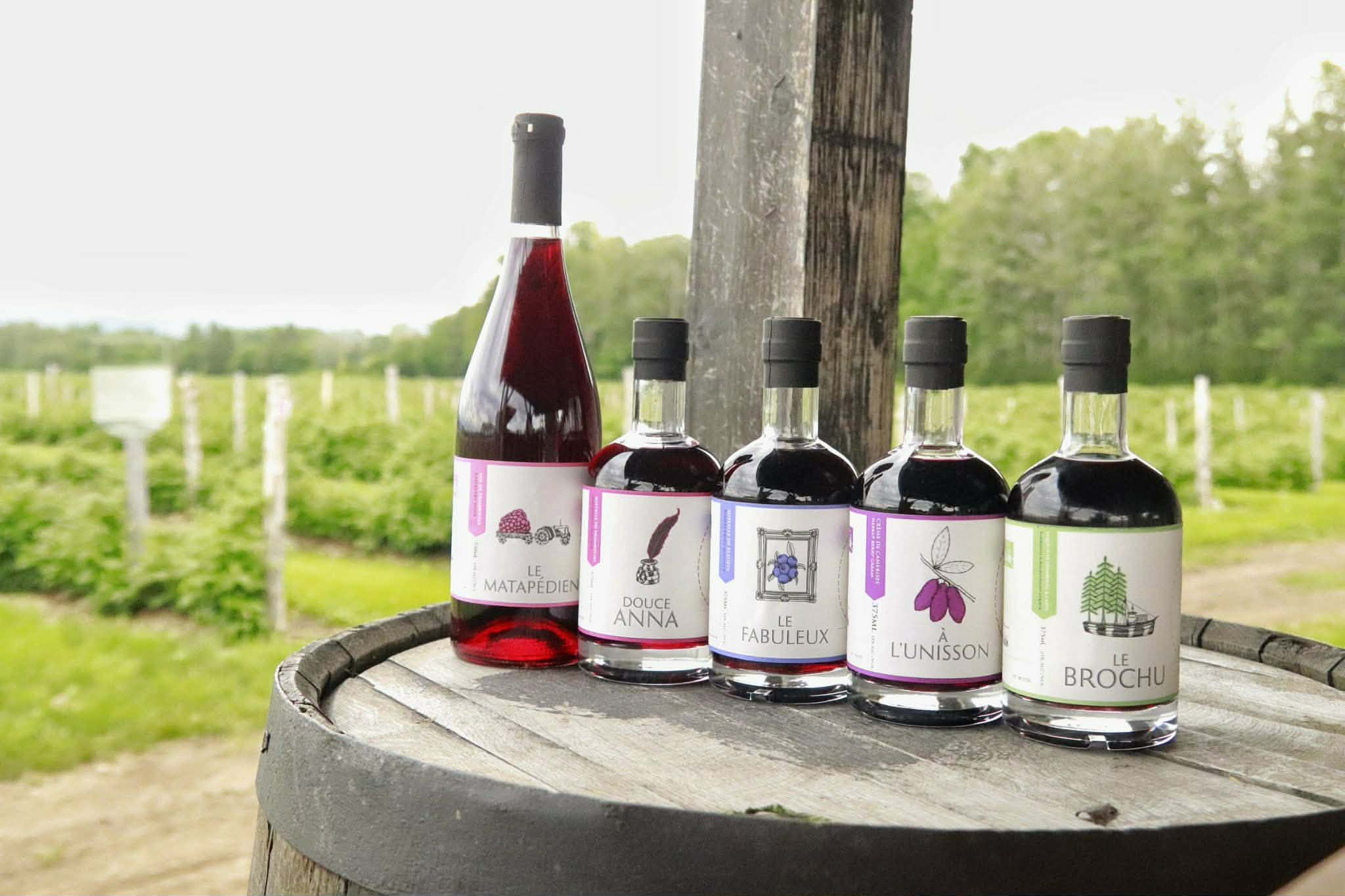 La Vallée de la Framboise : médaillés de 2026
